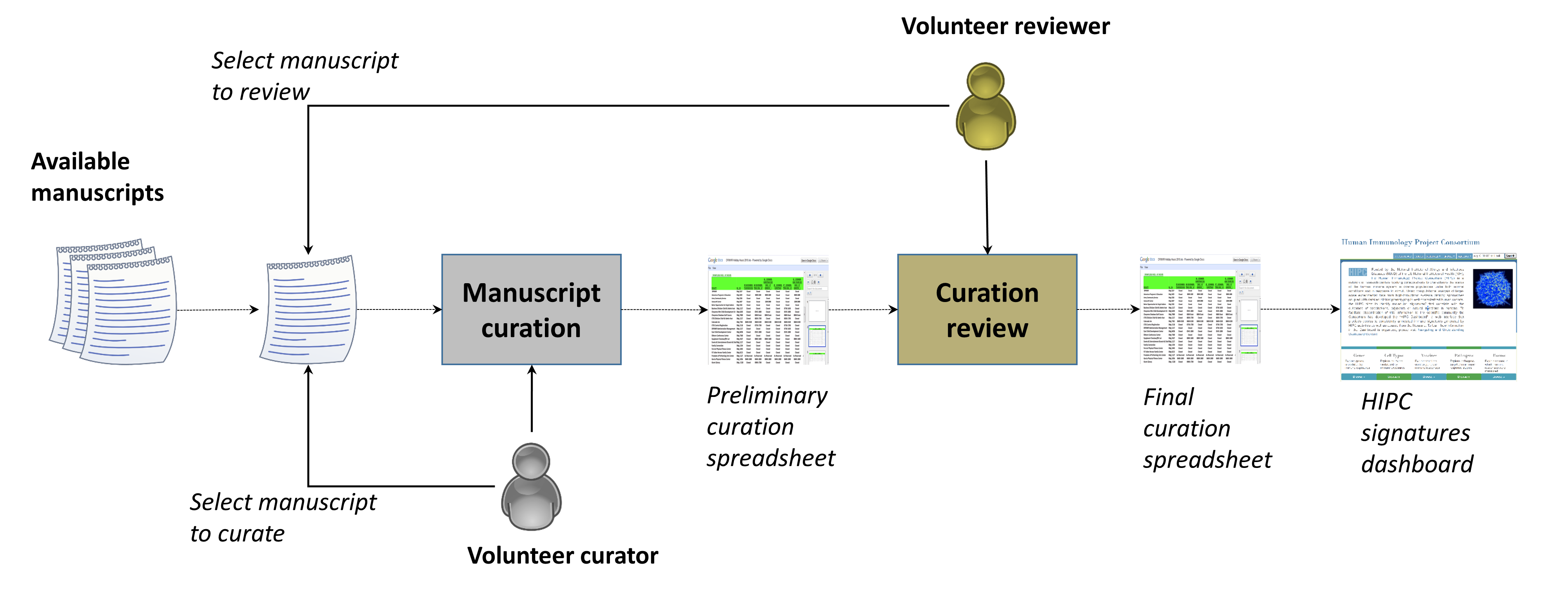 Manuscript curation process