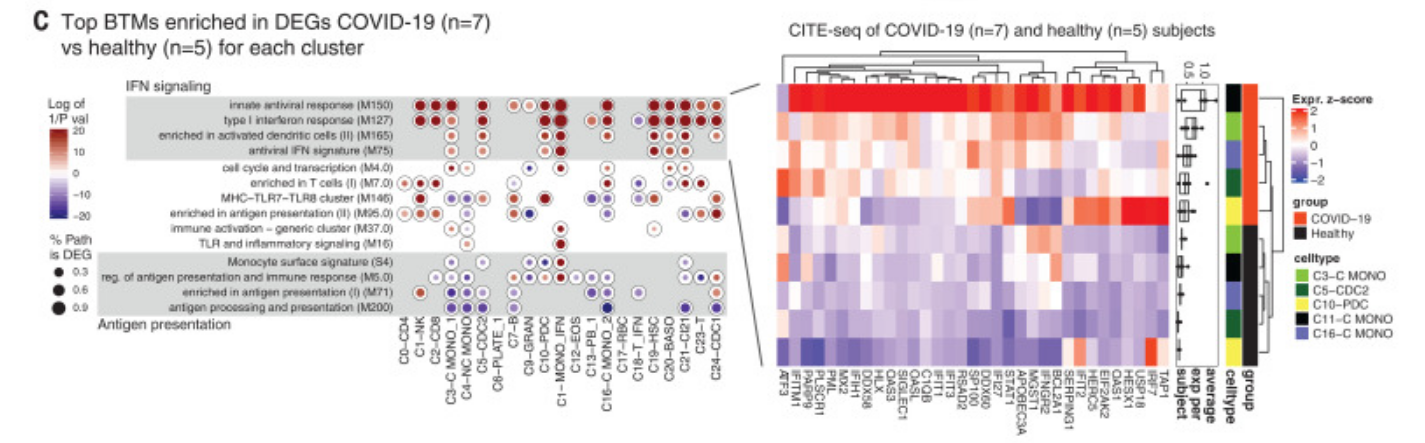 Figure 4C